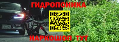 прущая мука Лесосибирск